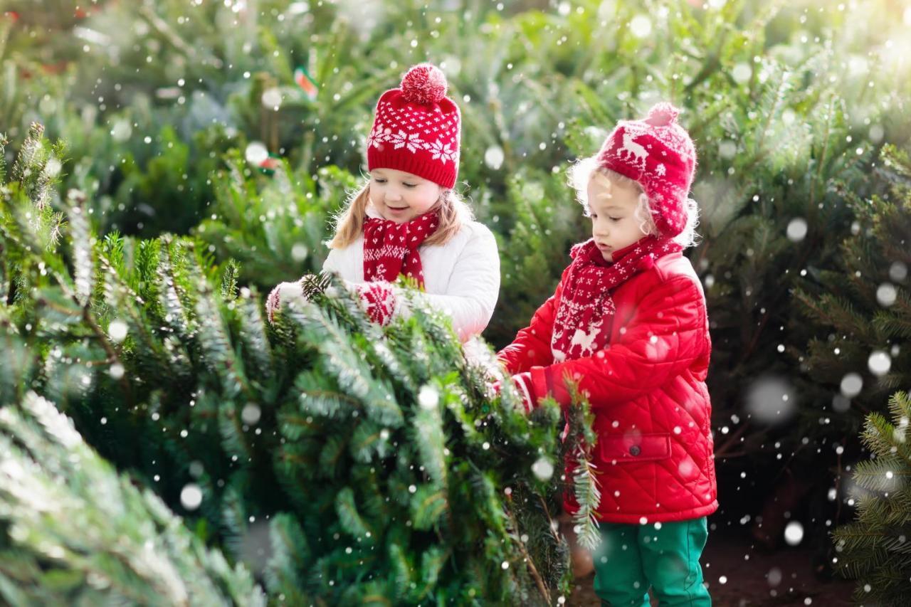 Family Wellhouse Green Garden Direct In Salzburg, Sunny Big Garden, Up To 16 Pax, Bikes For Free, Bbq, Sunbeds, Parking For Free, 15 Min Sound Of Music Dış mekan fotoğraf