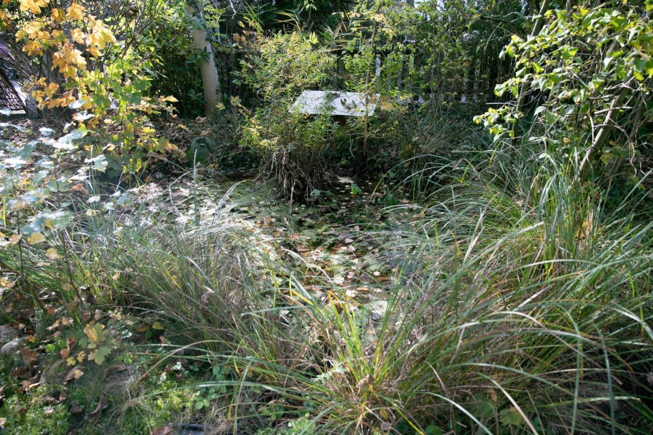 Family Wellhouse Green Garden Direct In Salzburg, Sunny Big Garden, Up To 16 Pax, Bikes For Free, Bbq, Sunbeds, Parking For Free, 15 Min Sound Of Music Dış mekan fotoğraf